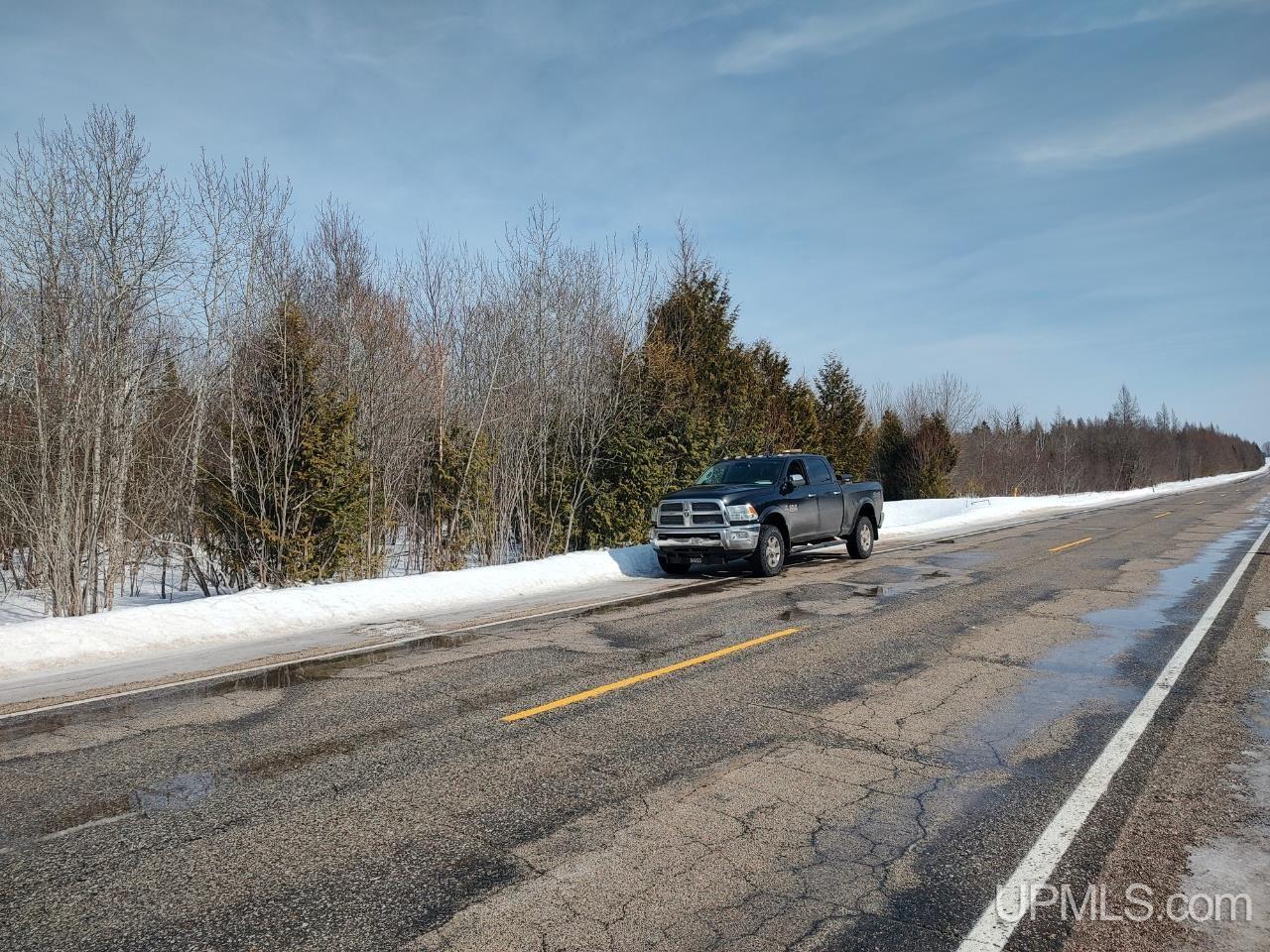 W 80-acres River Road Gulliver, MI 49840 - Photo 16 of 29