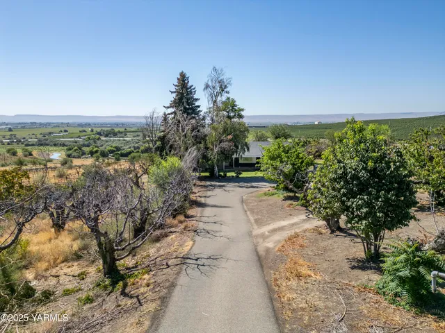 a view of that has a tree