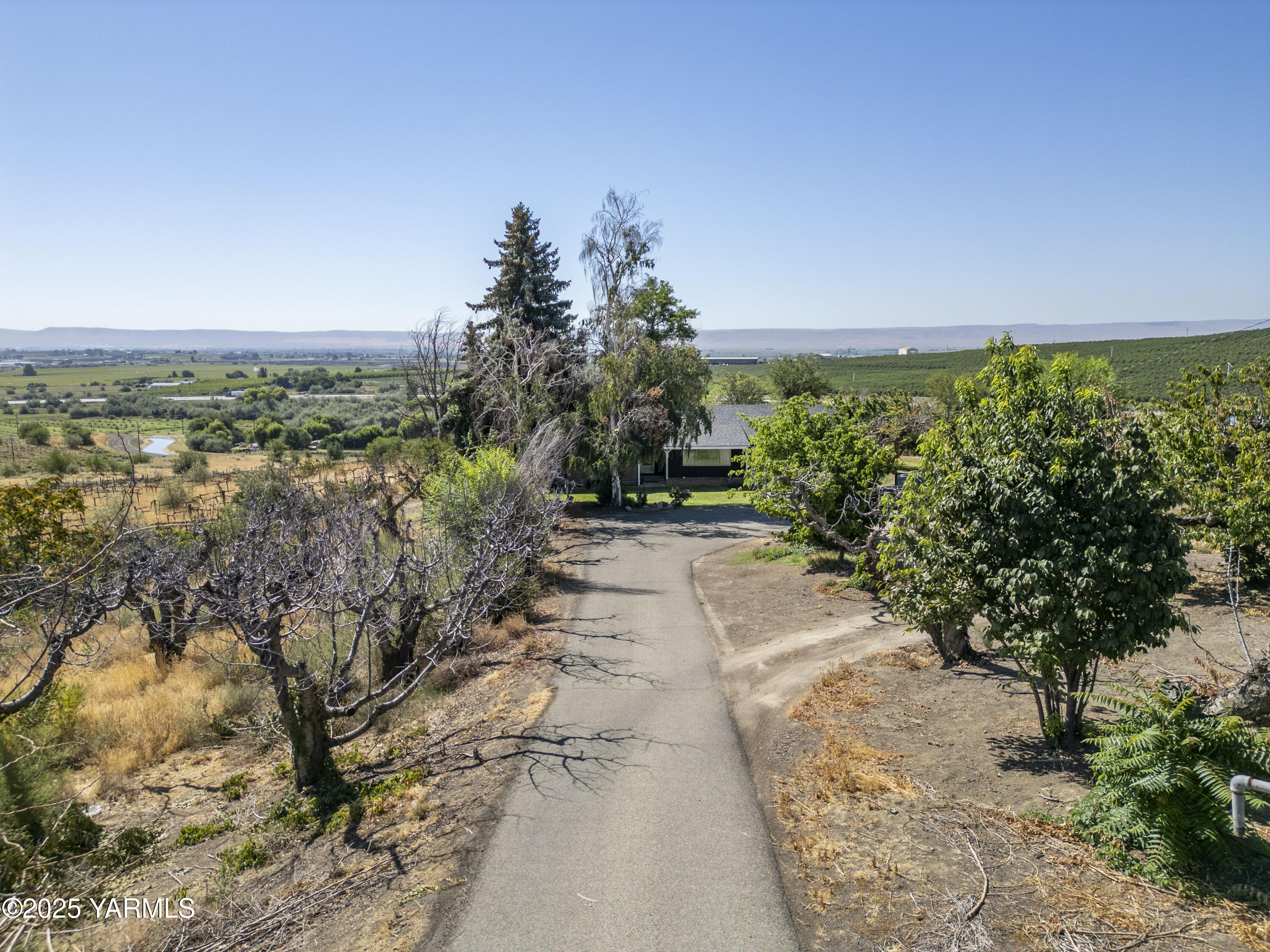 1381 West Riverside Avenue Sunnyside, WA 98944 - Photo 40 of 53 a view of a yard with plants and a bench
