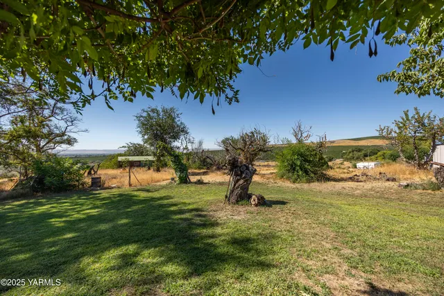 a view of an outdoor space and yard