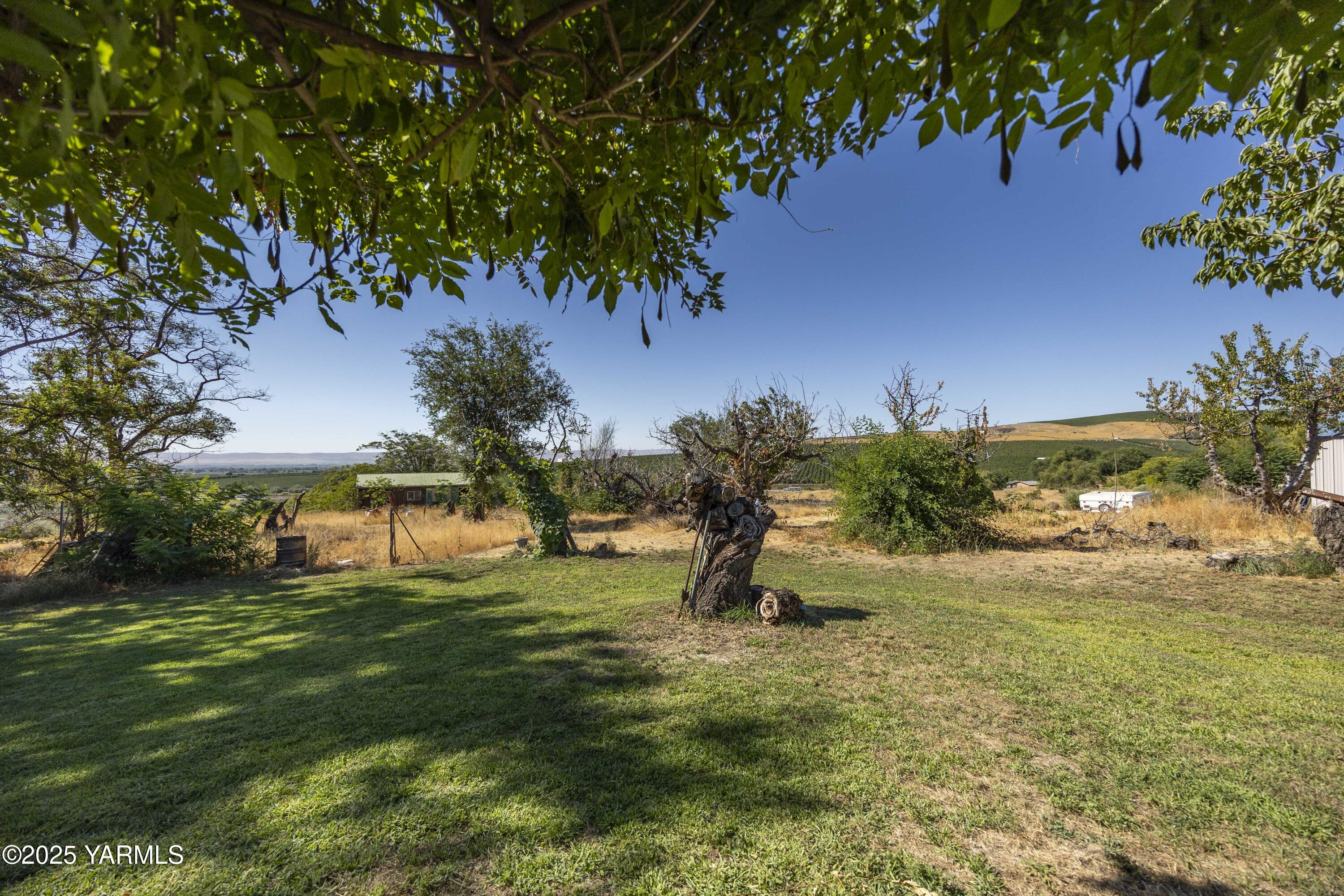 1381 West Riverside Avenue Sunnyside, WA 98944 - Photo 46 of 53 a view of a garden