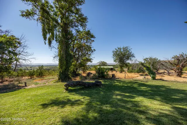 a view of a house with a yard and large tree