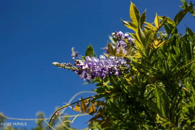 $505,000 | 1381 West Riverside Avenue, Sunnyside, WA 98944