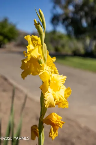 $505,000 | 1381 West Riverside Avenue, Sunnyside, WA 98944