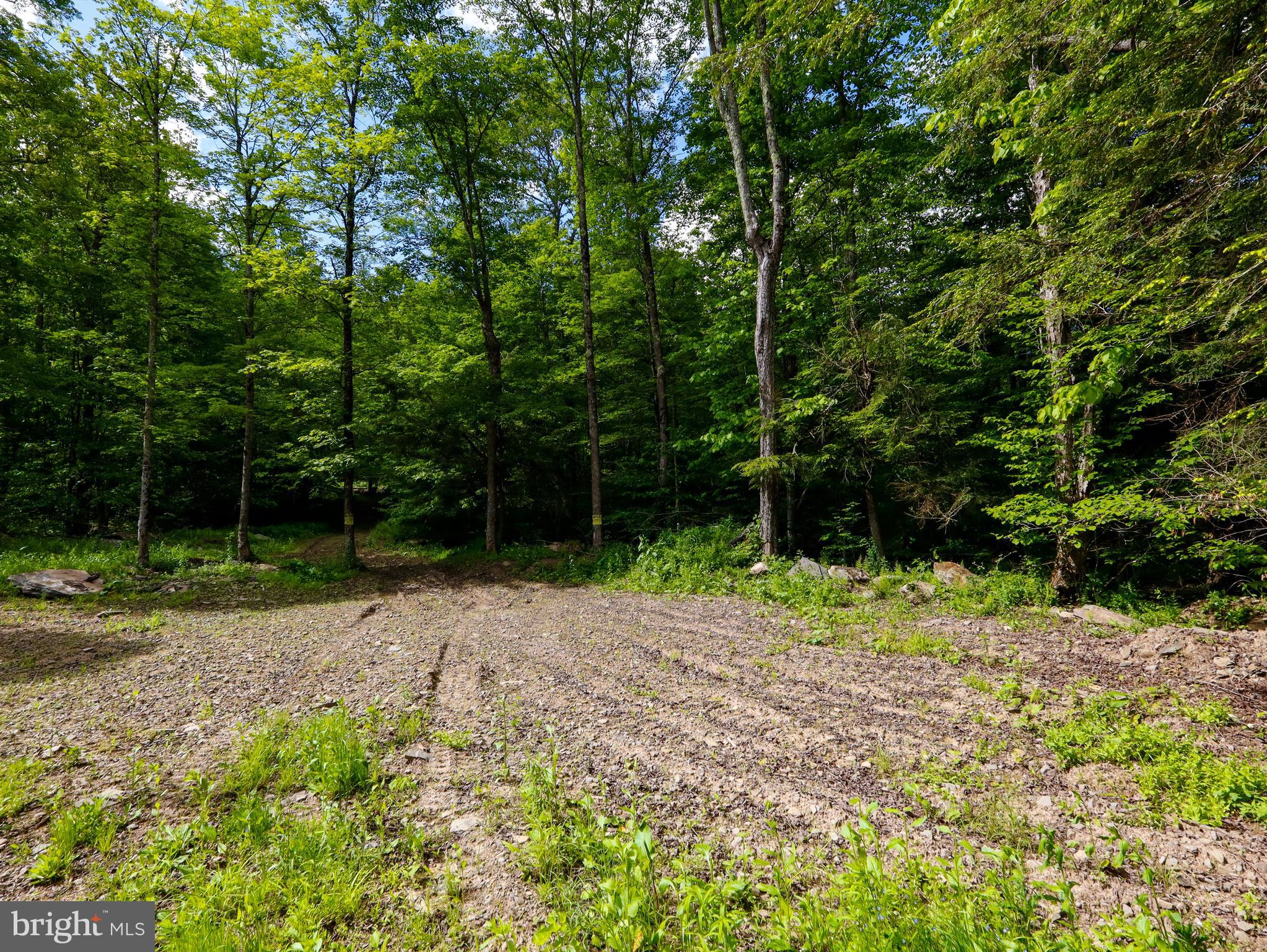7 Crooked Creek Road Pleasant Mount, PA 18453 - Photo 20 of 42