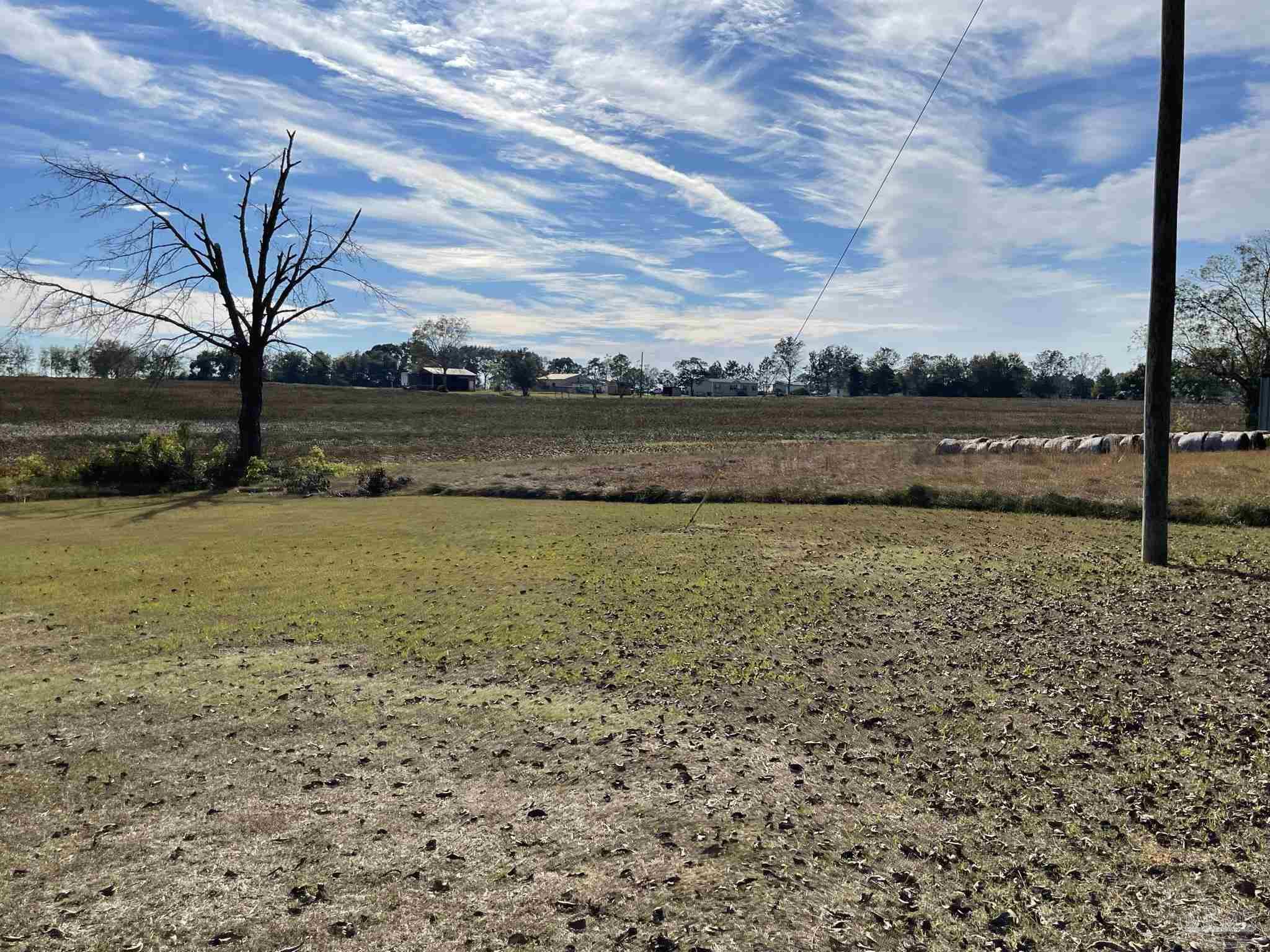 5841 Arthur Brown Road McDavid, FL 32568 - Photo 15 of 46 Gallery Image 15
