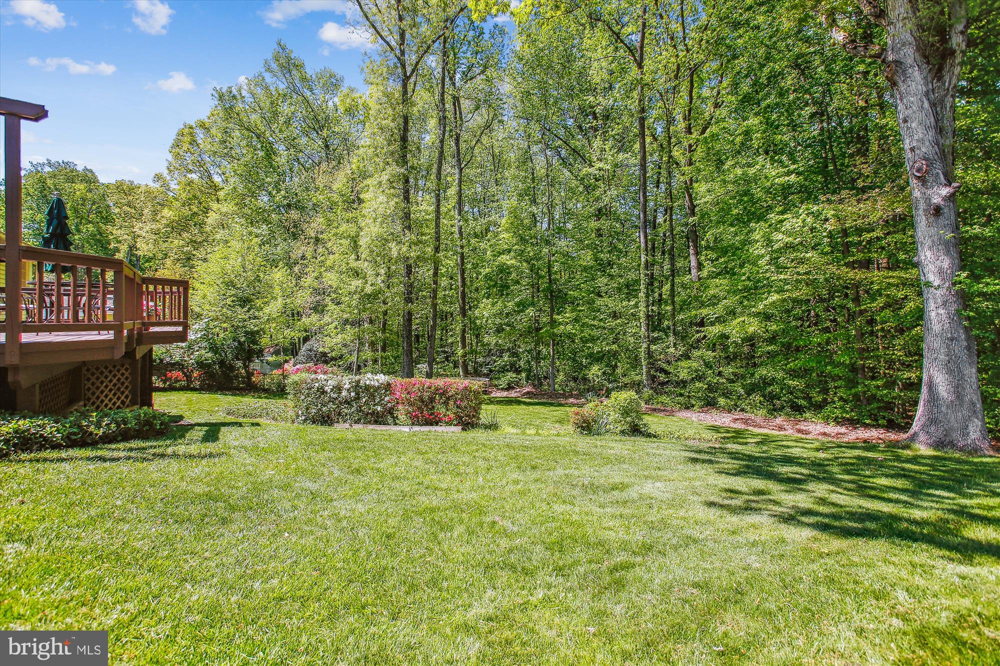 6961 Conservation Drive Springfield, VA 22153 - Photo 51 of 62 a view of a park with large trees