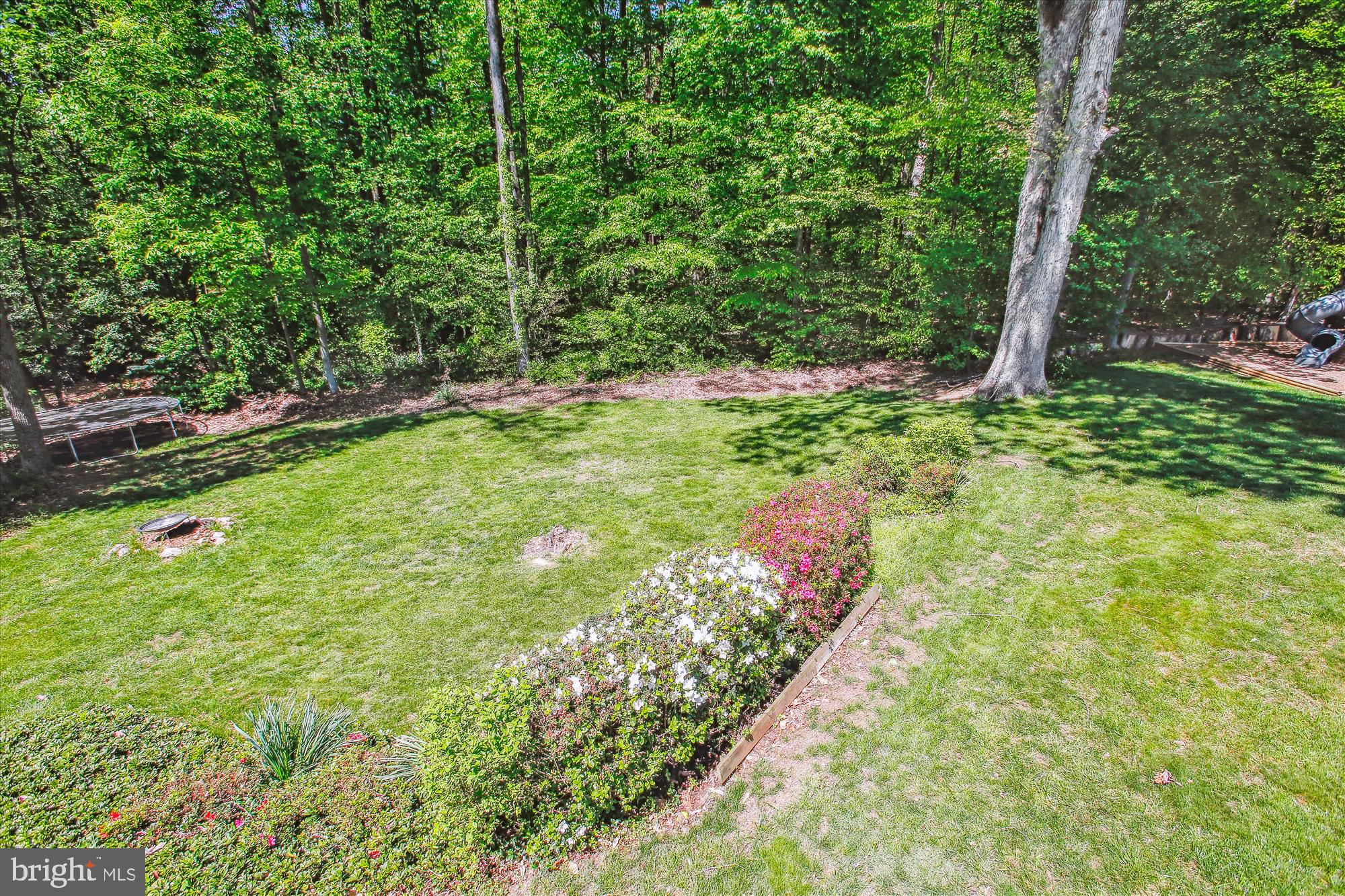 6961 Conservation Drive Springfield, VA 22153 - Photo 53 of 62 a view of a garden with flowers