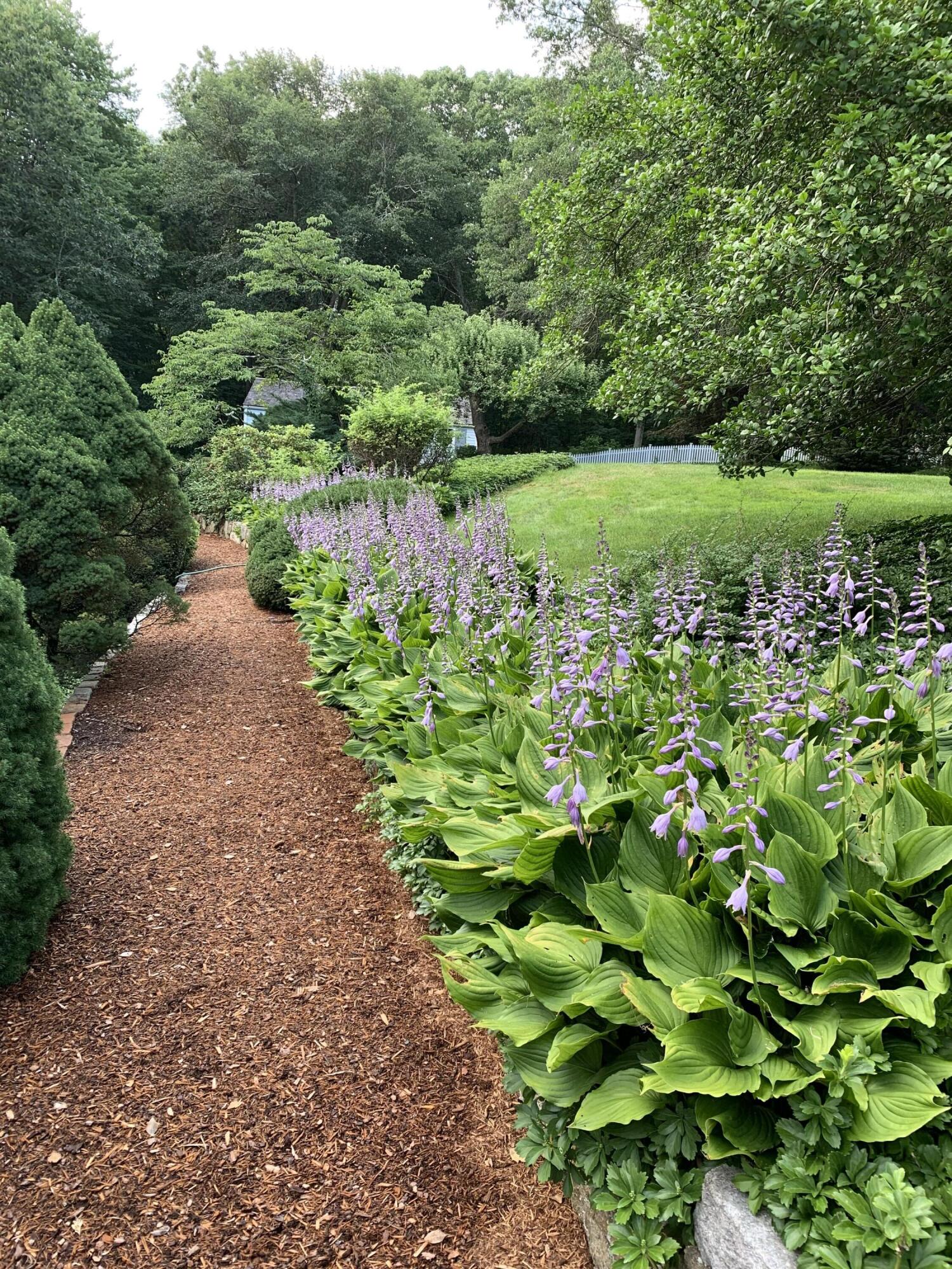 176 Michigan Road New Canaan, CT 06840 - Photo 35 of 42 Garden Path in Summer