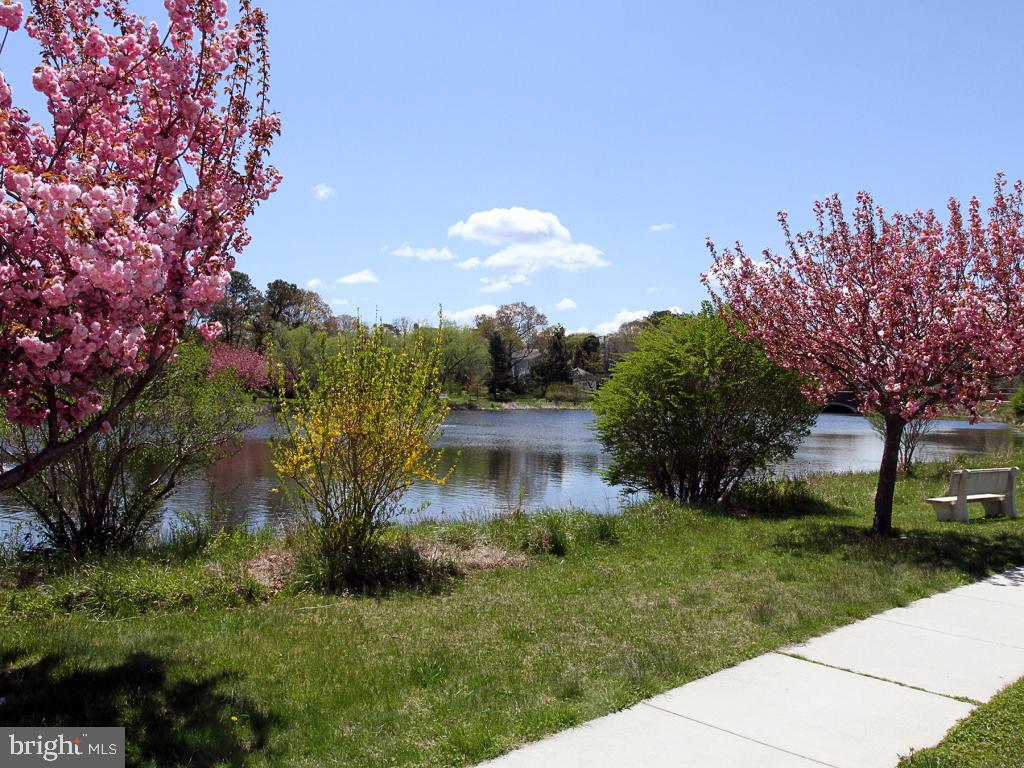 409 Rehoboth Avenue, Unit 20 Rehoboth Beach, DE 19971 - Photo 21 of 31 a front view of a house with garden