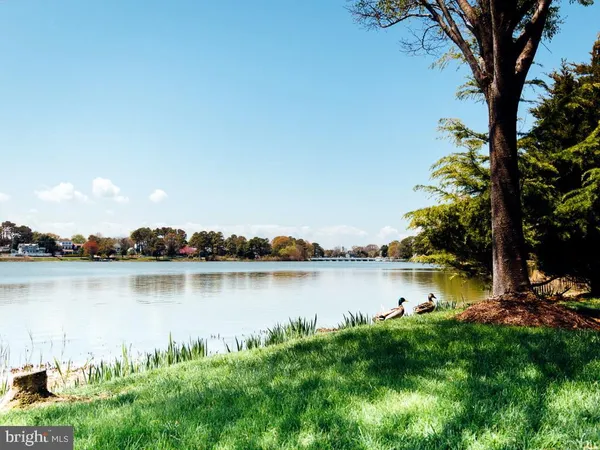 a view of a lake with houses in the back