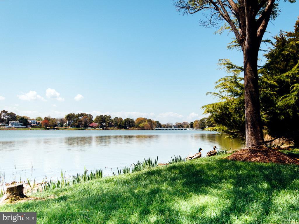 409 Rehoboth Avenue, Unit 20 Rehoboth Beach, DE 19971 - Photo 27 of 31 a view of a lake with houses in the back