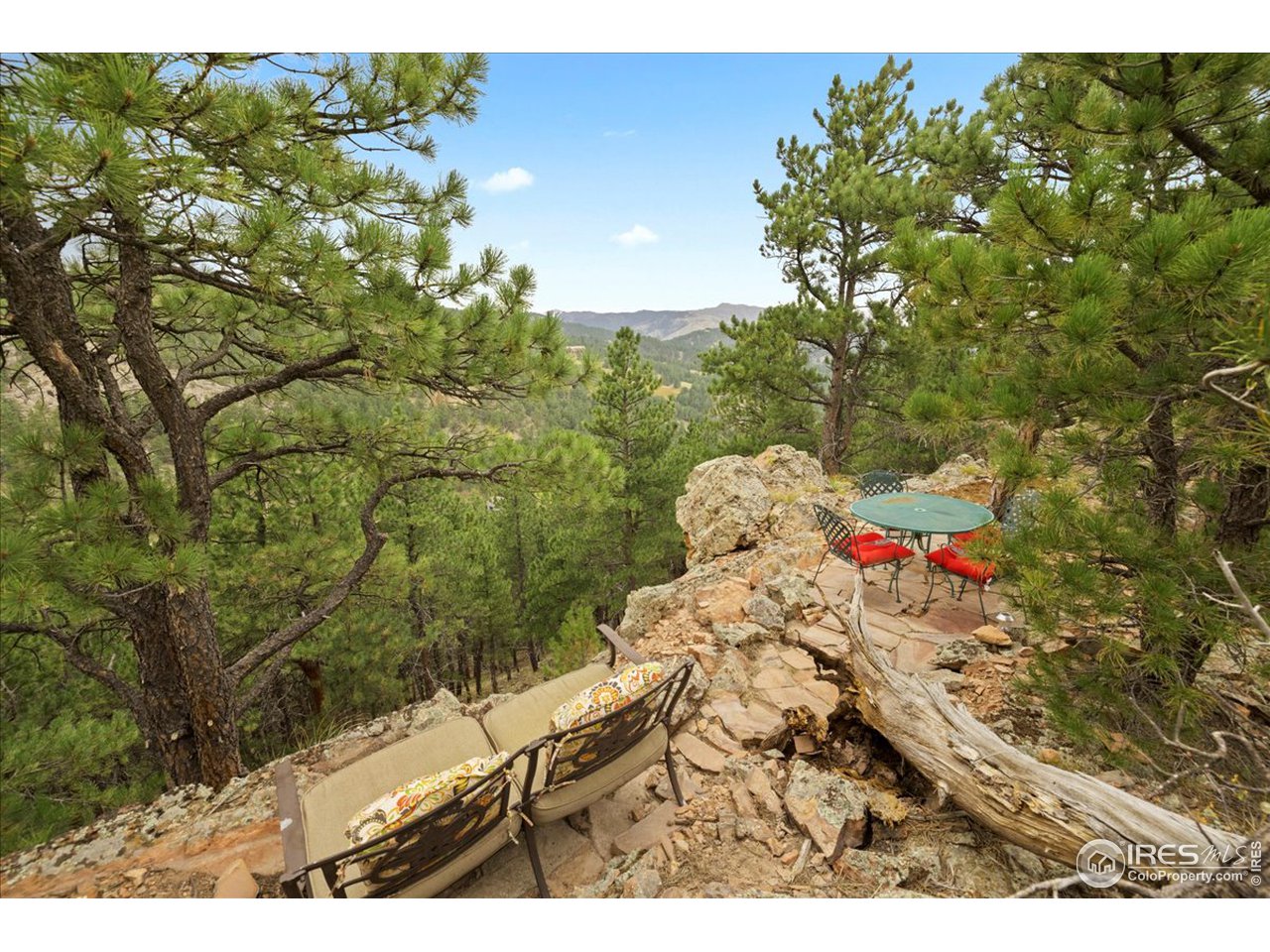 6293 Red Hill Road Boulder, CO 80302 - Photo 36 of 40 a view of a wooden floor and a tree