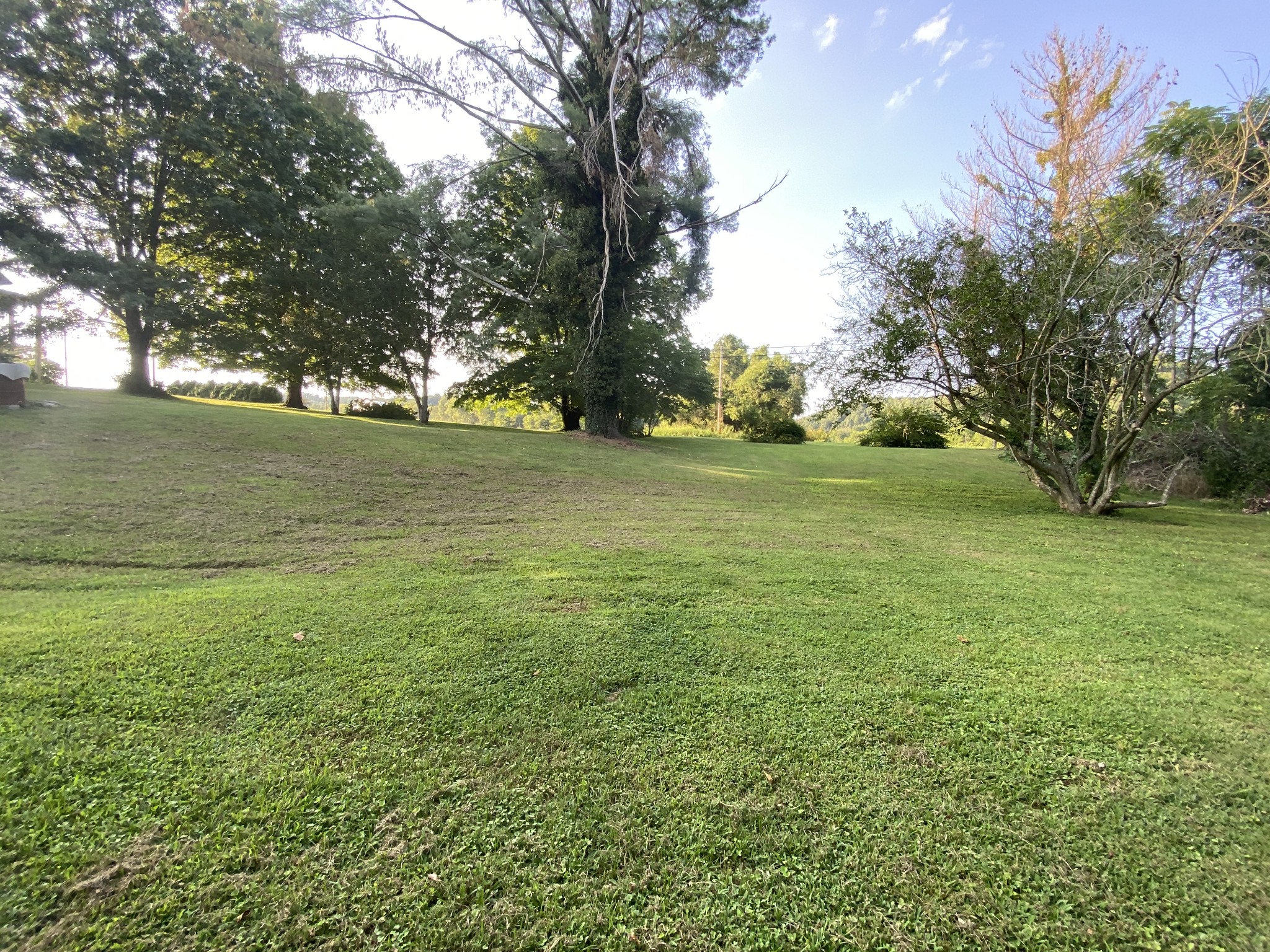 269 French Brantley Road Wartrace, TN 37183 - Photo 11 of 32 a view of an ocean from a yard