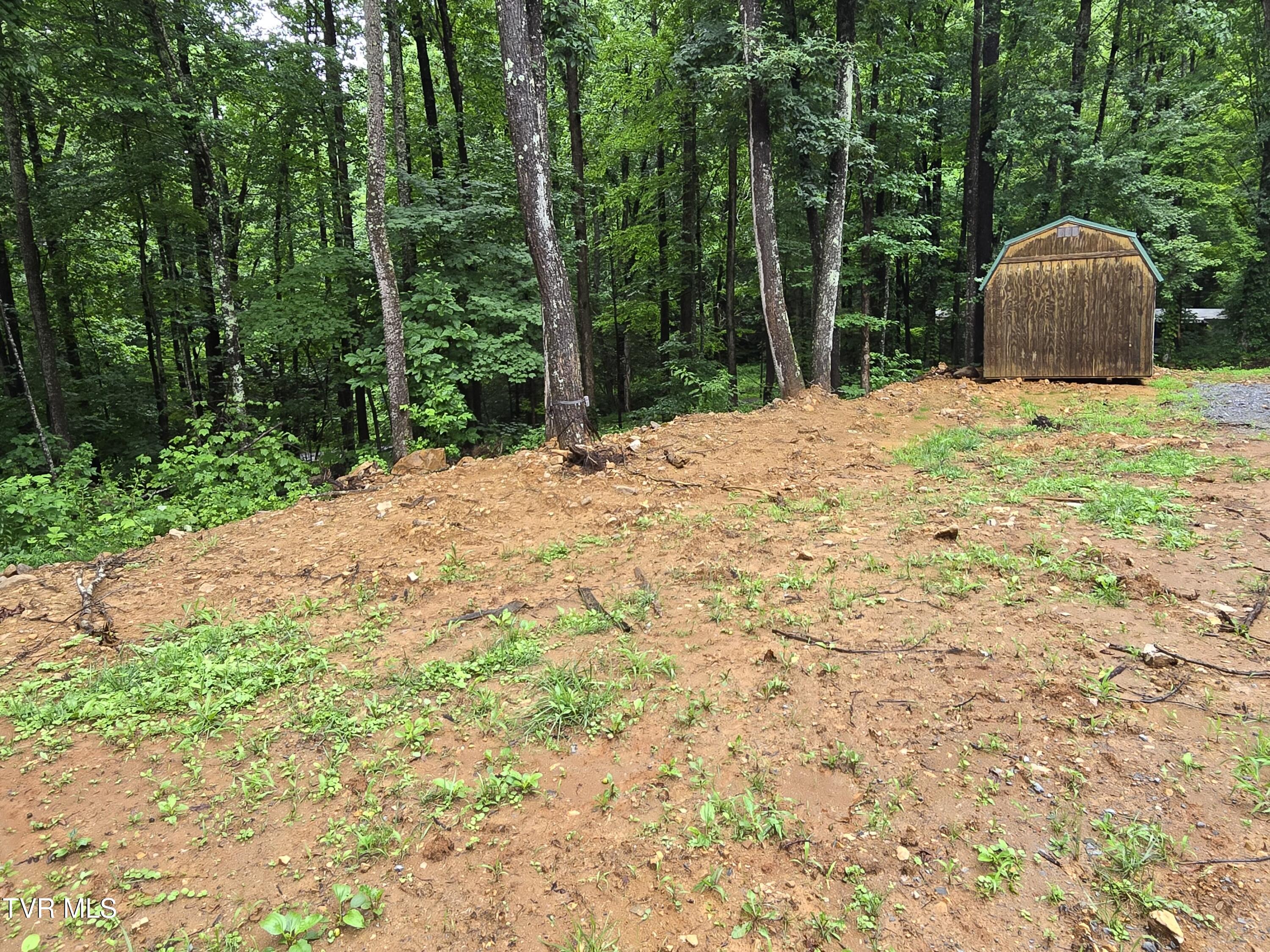 180 Bill Nave Loop, Unit 6 Elizabethton, TN 37643 - Photo 2 of 21 IMG_4257