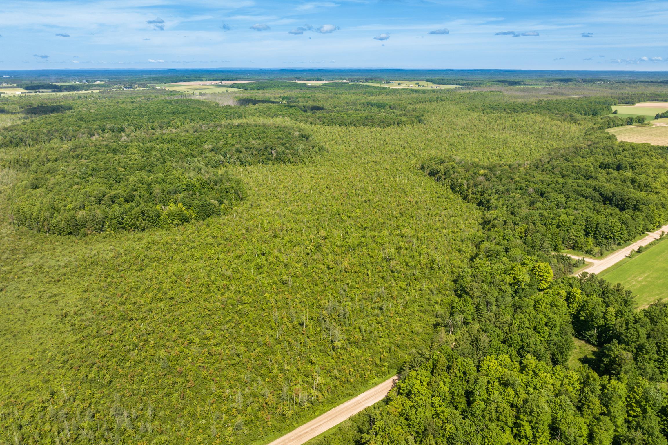 0 North Sharon Road Kalkaska, MI 49646 - Photo 10 of 18