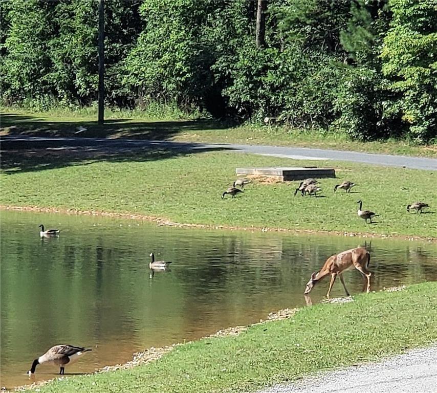 1058 Mayfield Lane Northeast Ranger, GA 30734 - Photo 13 of 16