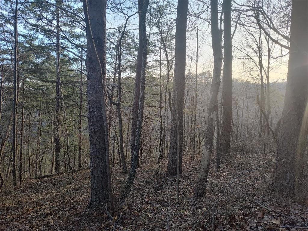 1058 Mayfield Lane Northeast Ranger, GA 30734 - Photo 2 of 16