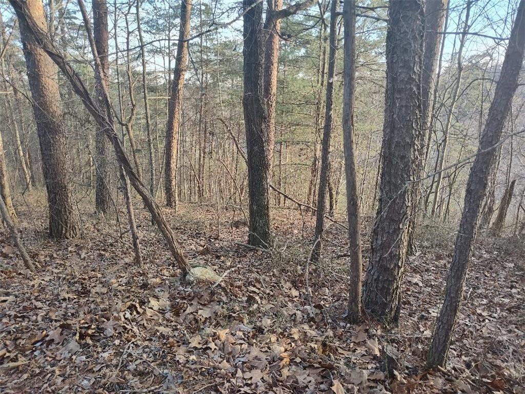 1058 Mayfield Lane Northeast Ranger, GA 30734 - Photo 3 of 16