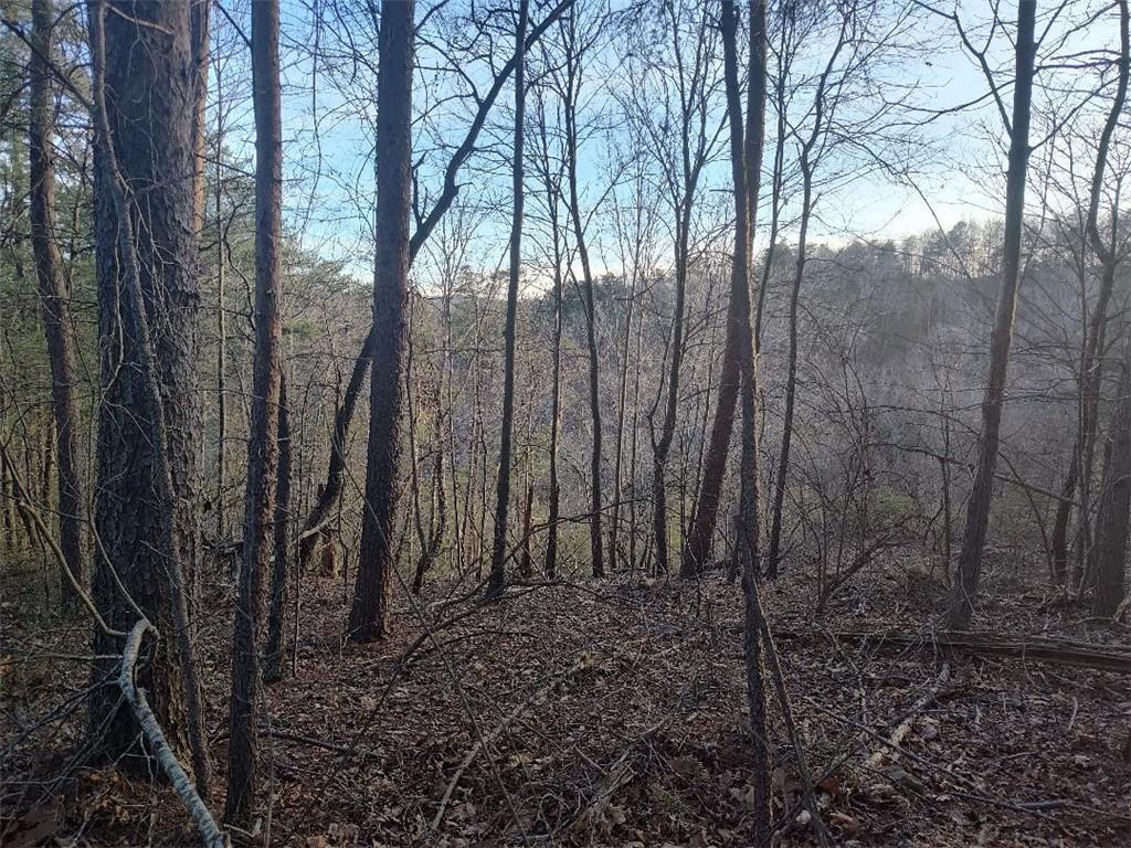 1058 Mayfield Lane Northeast Ranger, GA 30734 - Photo 4 of 16