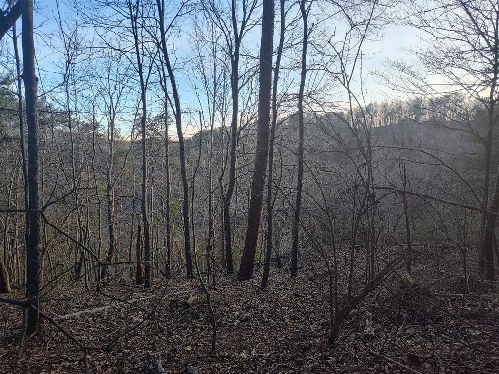 1058 Mayfield Lane Northeast Ranger, GA 30734 - Photo 6 of 16