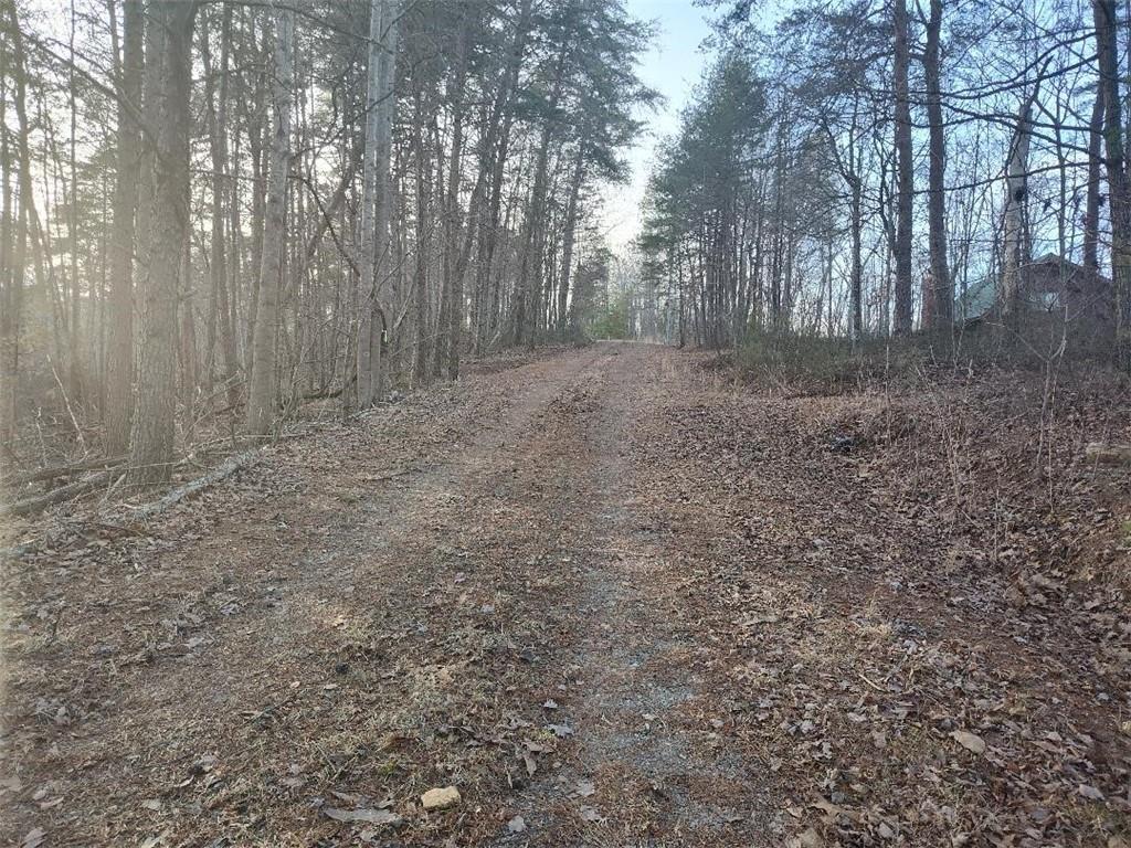 1058 Mayfield Lane Northeast Ranger, GA 30734 - Photo 7 of 16