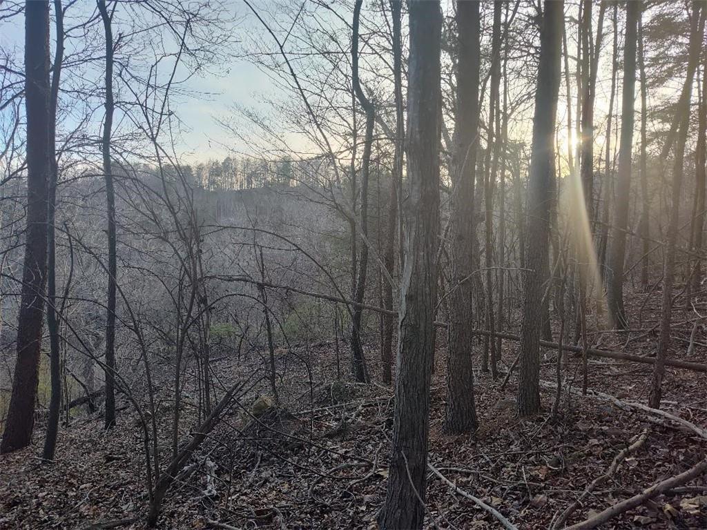 1058 Mayfield Lane Northeast Ranger, GA 30734 - Photo 8 of 16