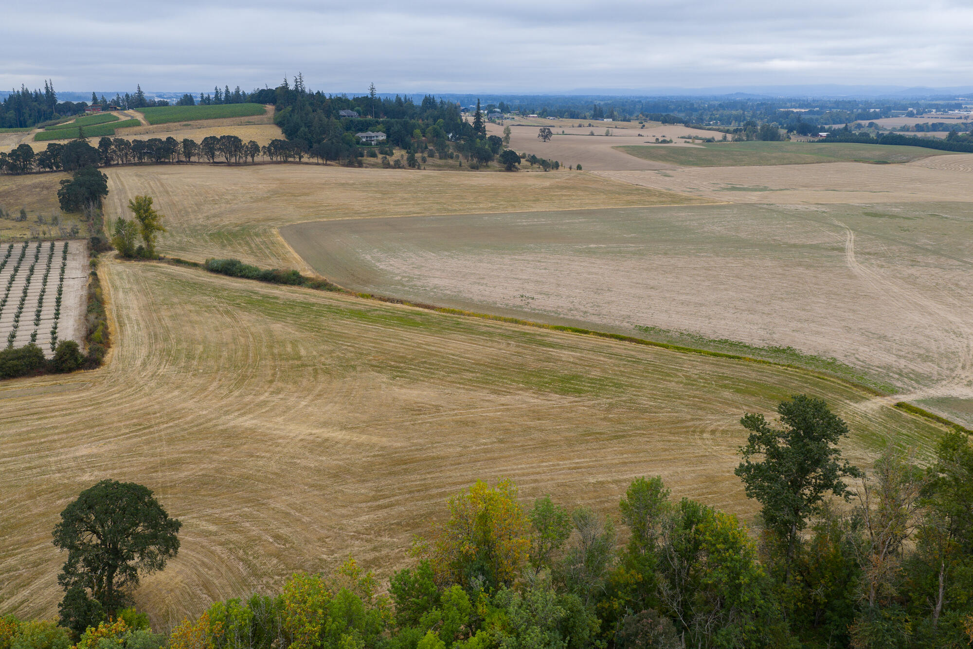 0 Oak Grove Albany, OR 97321 - Photo 9 of 35