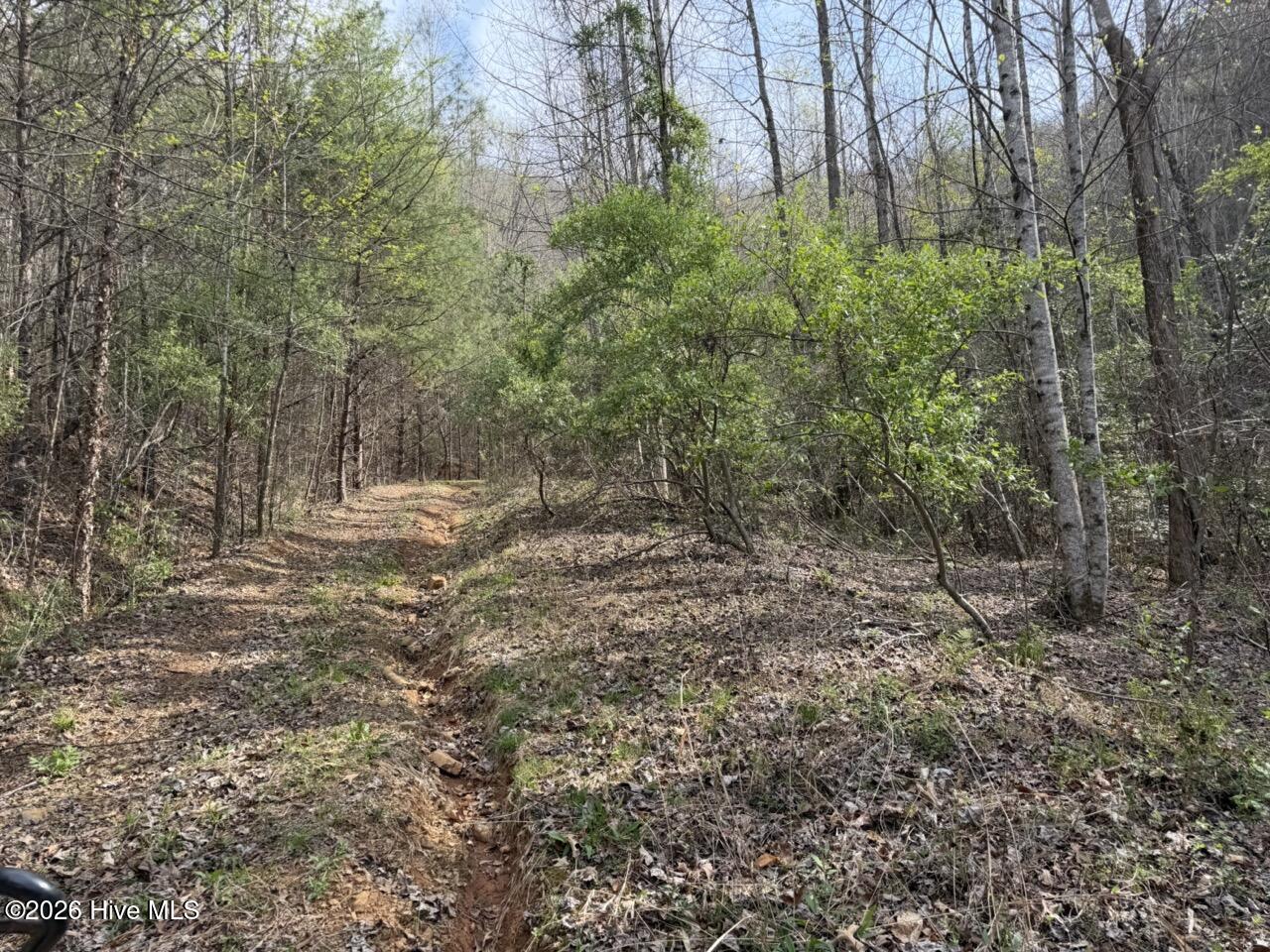0 Ogreeta Road Murphy, NC 28906 - Photo 7 of 47