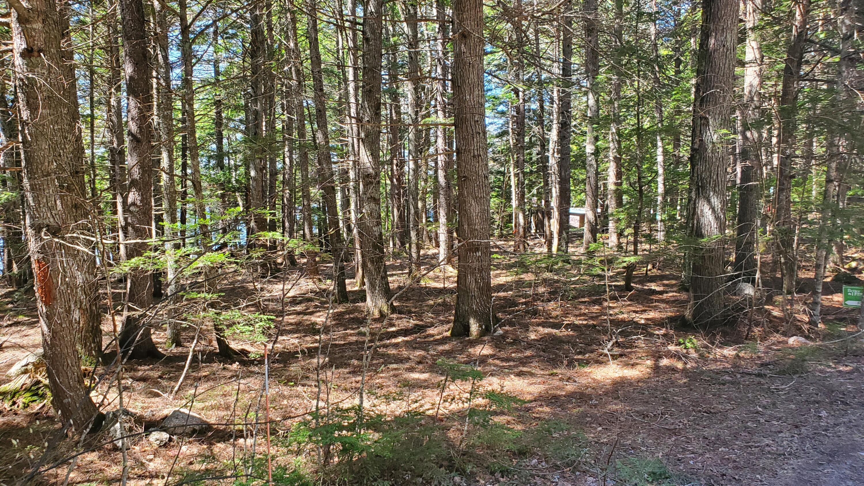 307 Lakeville Shores Road Lakeville, ME 04487 - Photo 24 of 39 20250430_113353