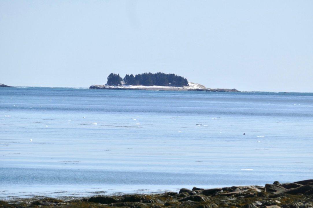 311 Paul Bunyan Road Corea, ME 04624 - Photo 7 of 43 KaK0E6gIQMy8-VgxwGIFHA