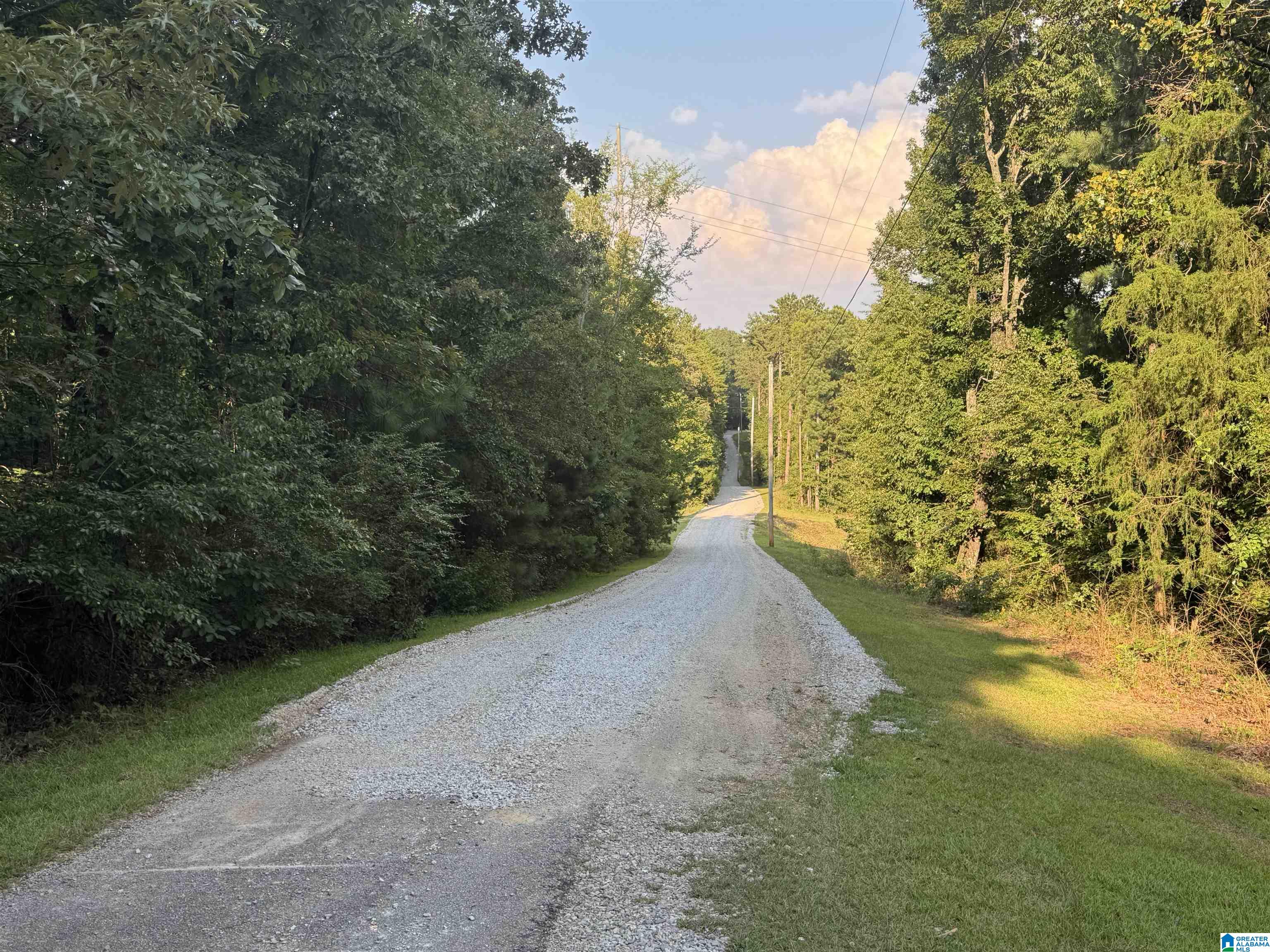 175 Shady Hollow Road Eastaboga, AL 36260 - Photo 30 of 50