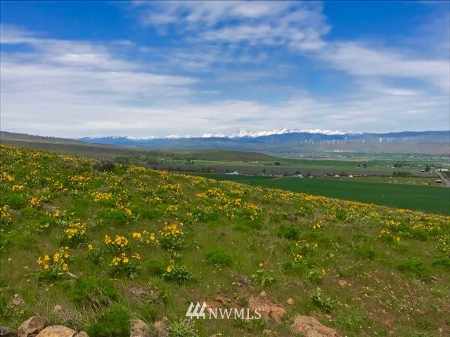 131 Ridge Road Ellensburg, WA 98926 - Photo 23 of 25 Gallery Image 23