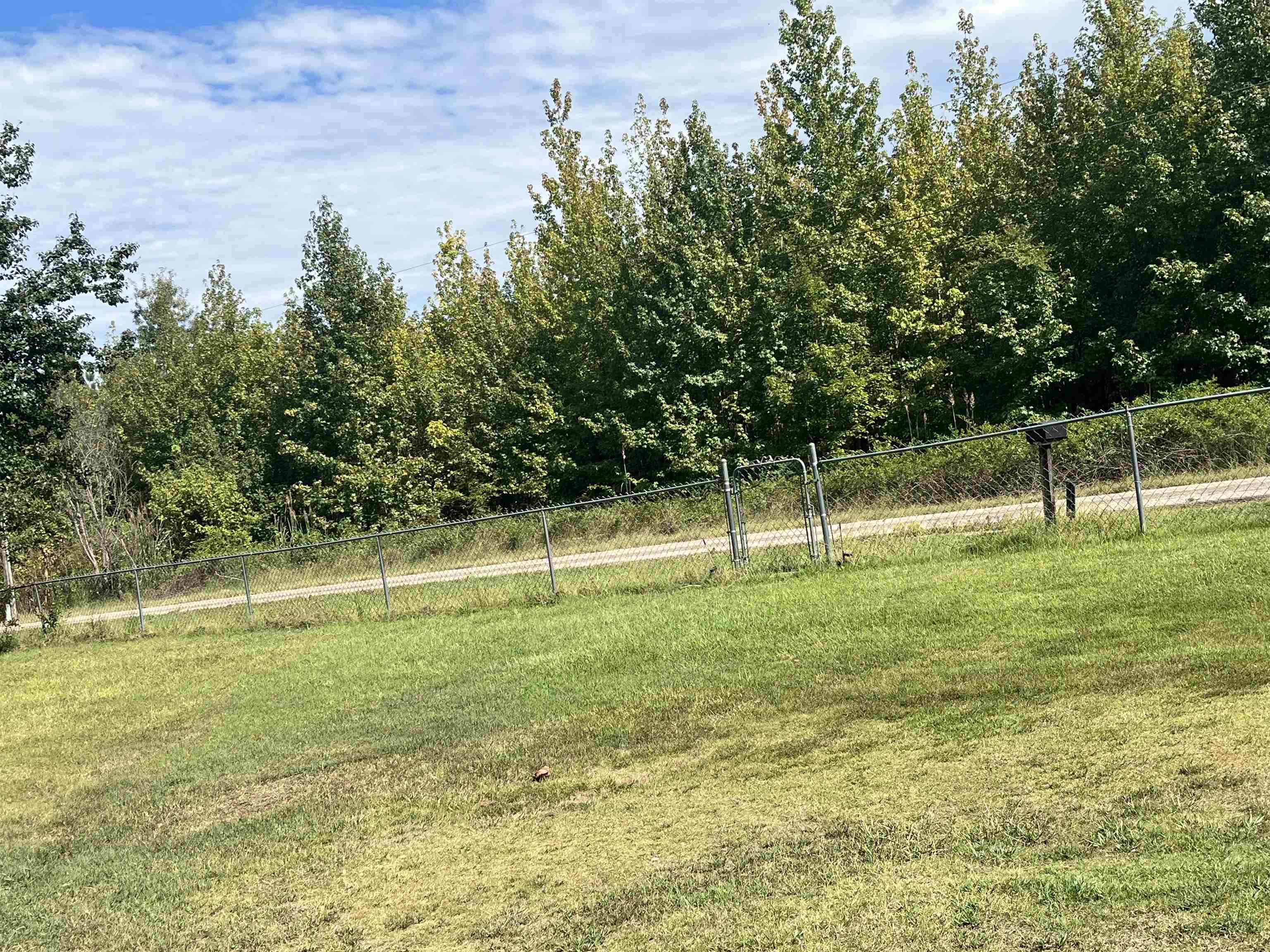 1685 Turner Road Grand Junction, TN 38039 - Photo 5 of 15 Expansive green space featuring a chain-link fence, mature trees, and a clear boundary to a natural area