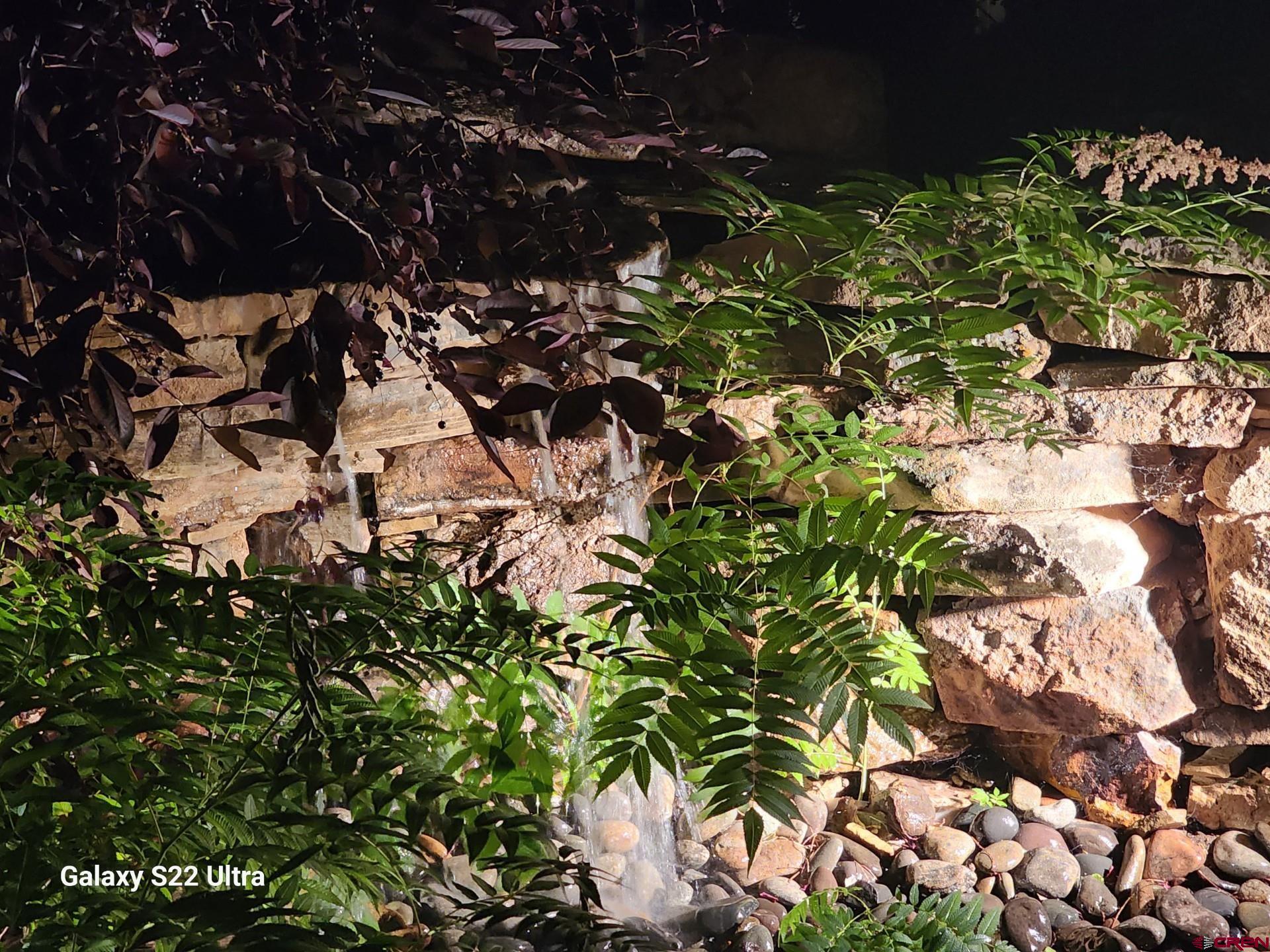 800 Northeast 2nd Street Cedaredge, CO 81413 - Photo 35 of 45 a picture of plants