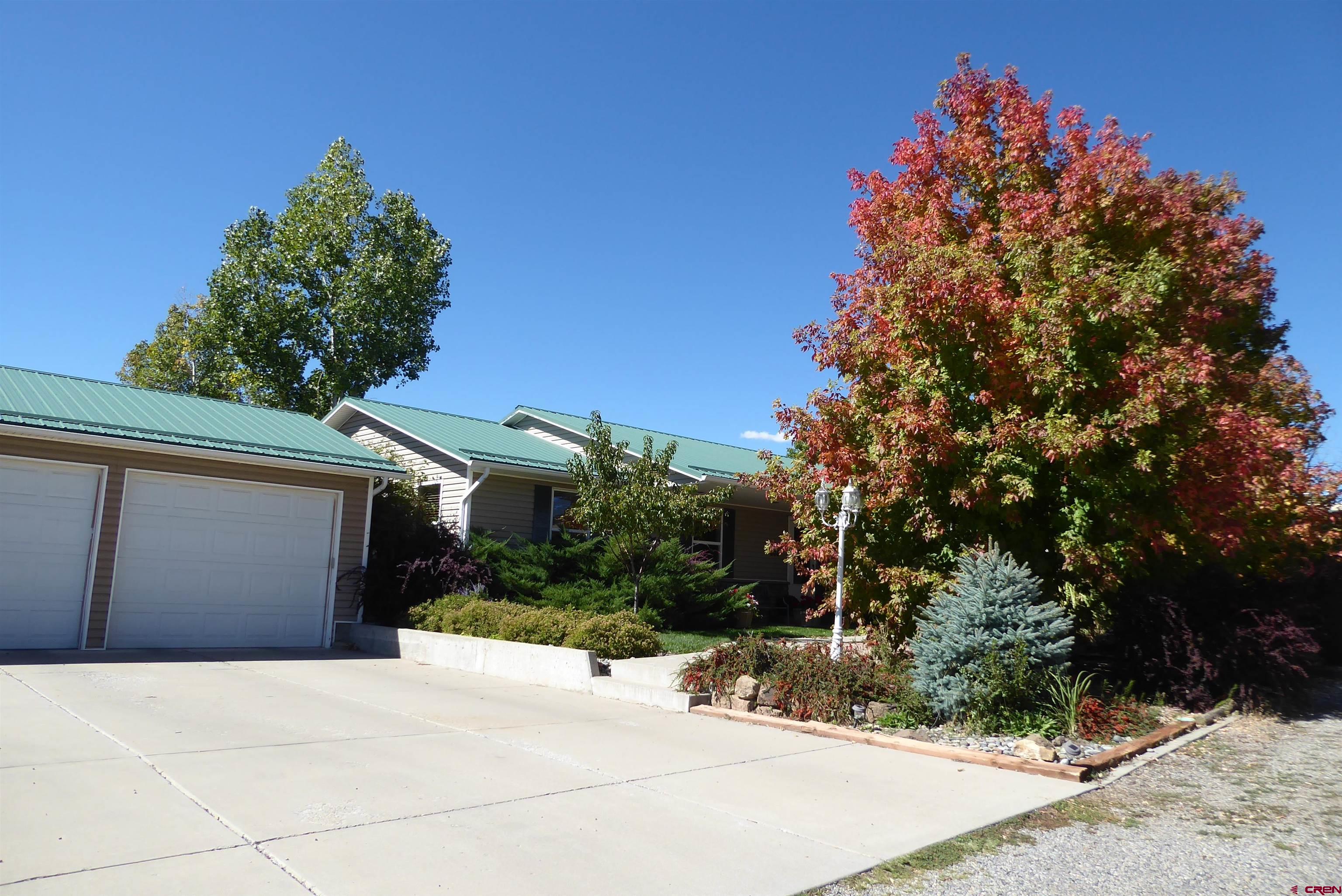 800 Northeast 2nd Street Cedaredge, CO 81413 - Photo 4 of 45 a backyard of a house with lots of green space