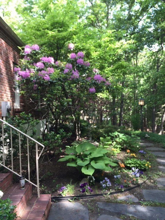 20 Brooks Road Lincoln, MA 01773 - Photo 22 of 25