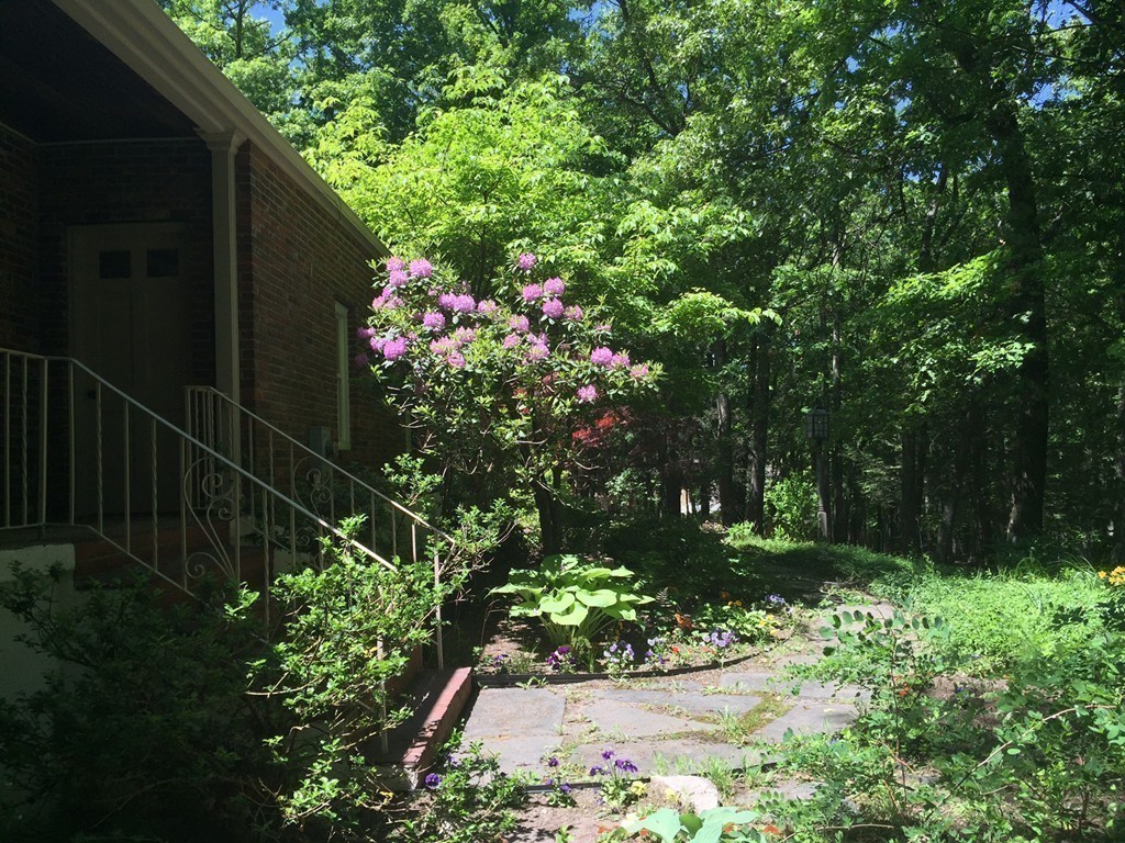 20 Brooks Road Lincoln, MA 01773 - Photo 25 of 25