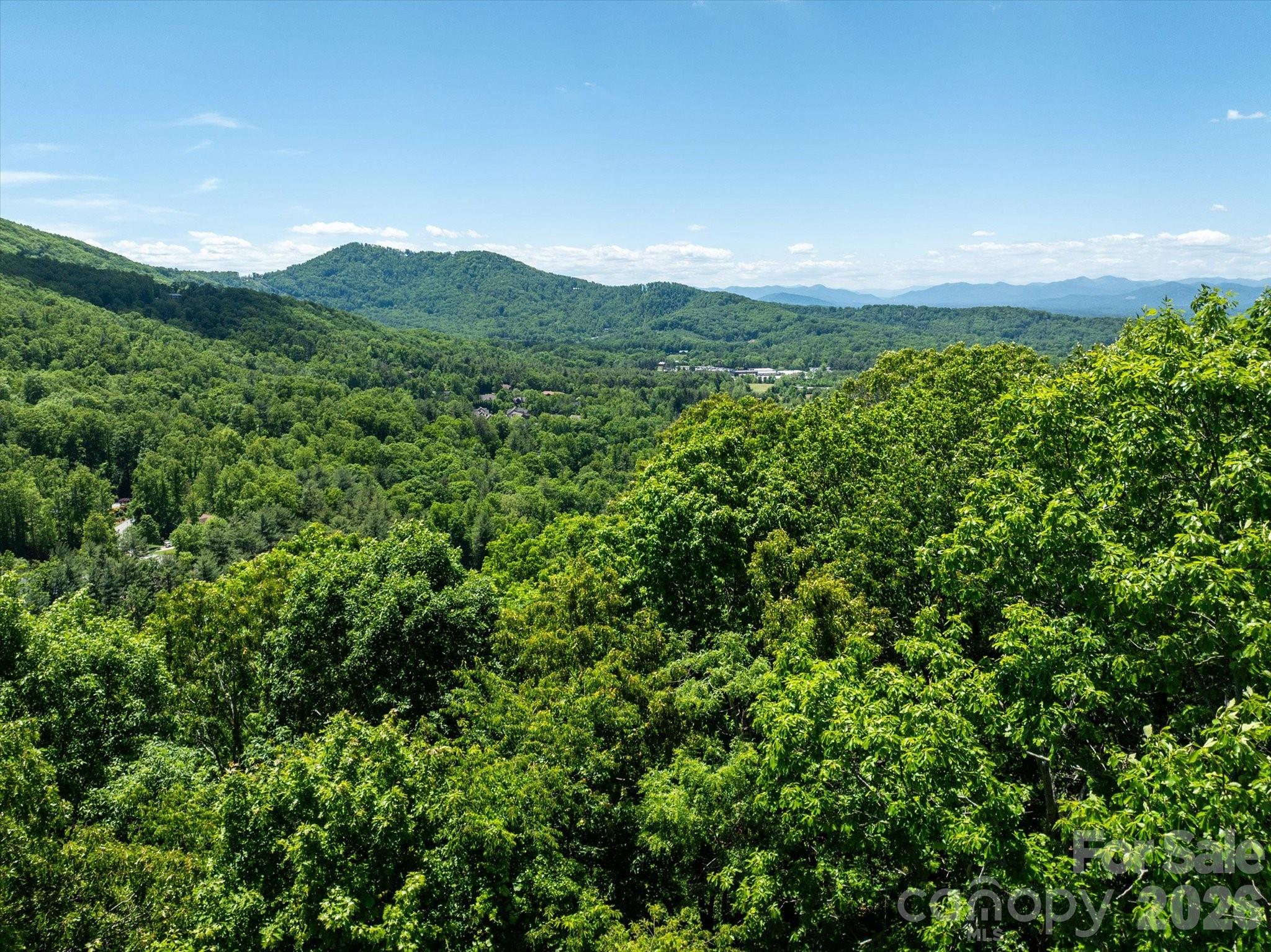 99999 Winding Ridge Road Fairview, NC 28730 - Photo 2 of 15