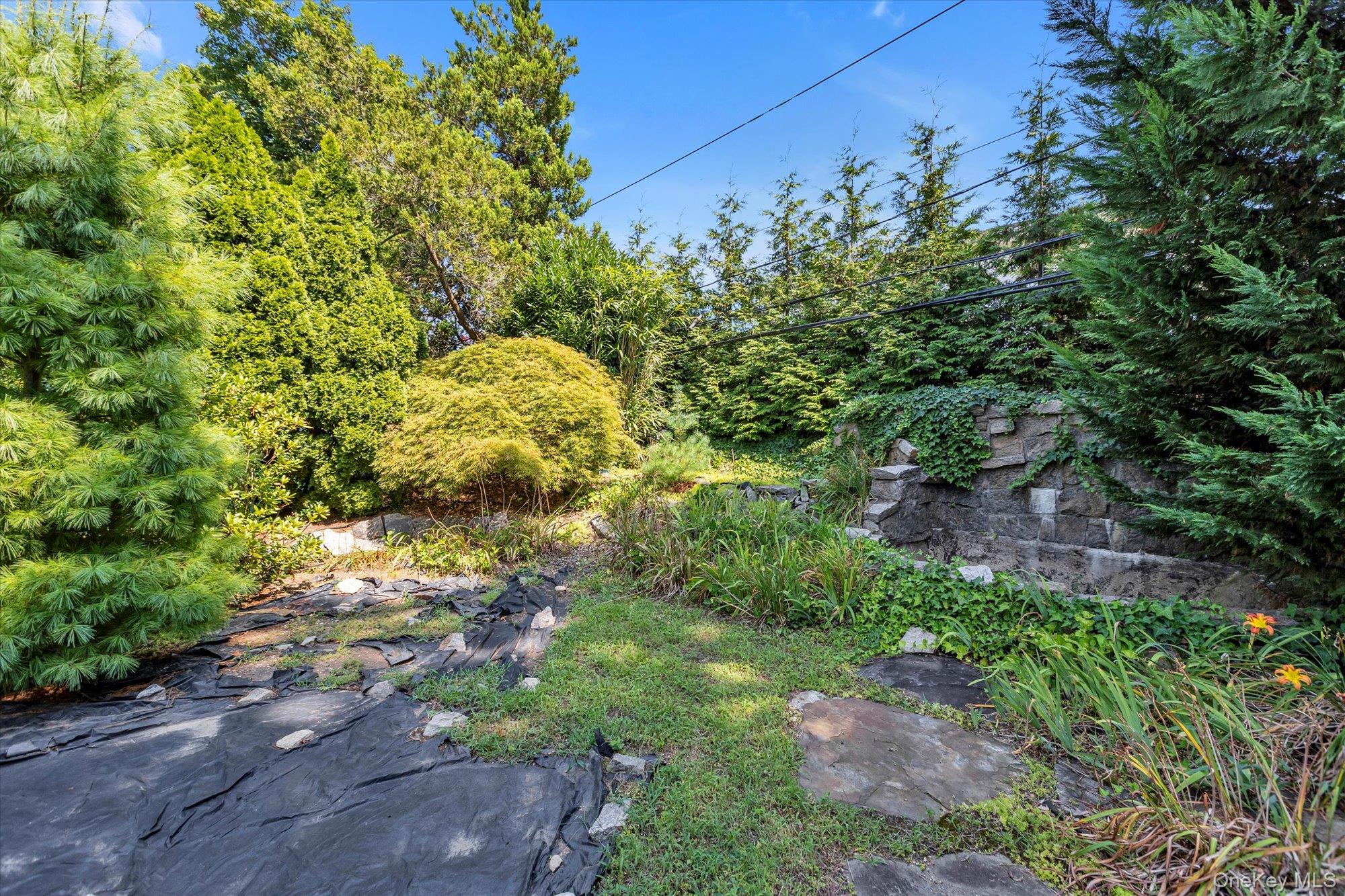 19 Clearland Road Syosset, NY 11791 - Photo 21 of 22 View of yard