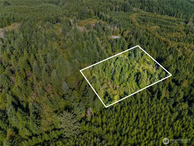 a view of a lush green field