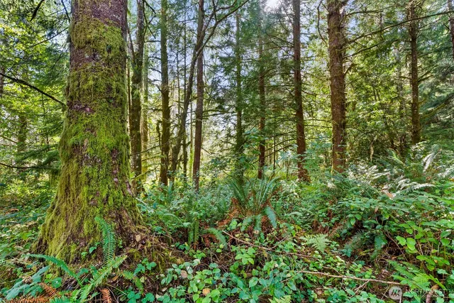 a view of a city with lush green forest