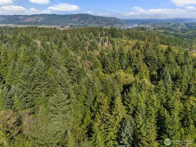 $175,000 | 0 Rixon Road, South Bend, WA 98586