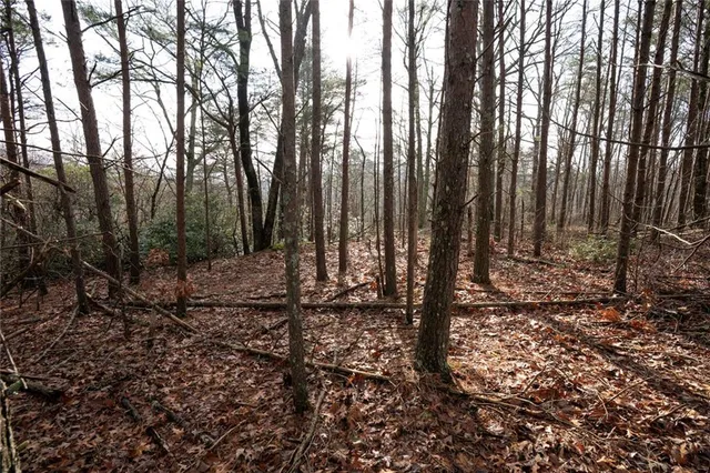 a view of outdoor space with lots of trees