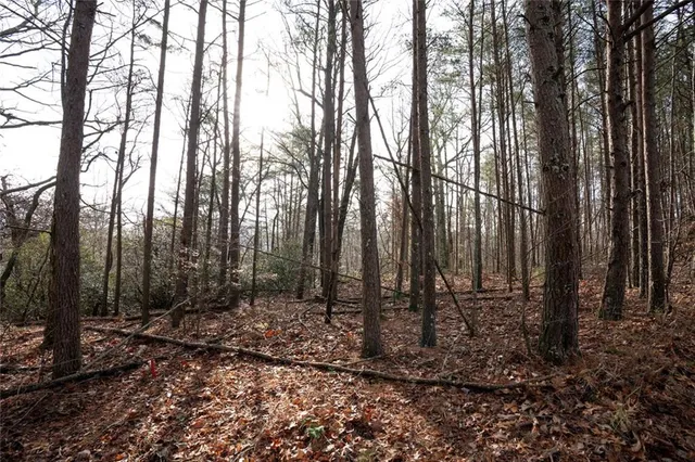 a view of outdoor space with lots of trees