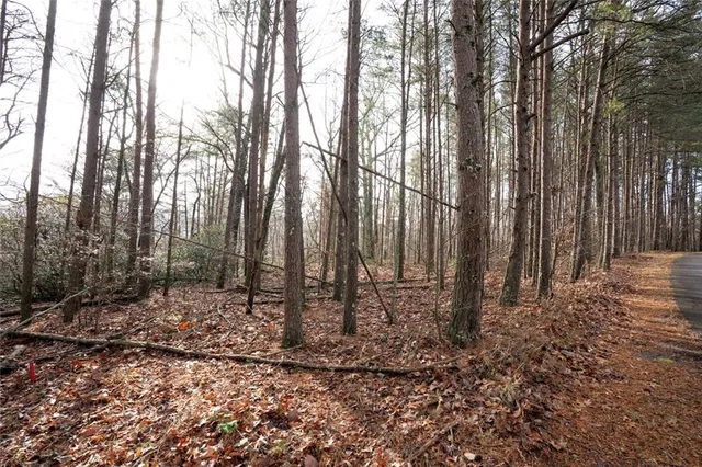 a view of a yard with lots of trees