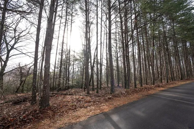 a view of a backyard with trees