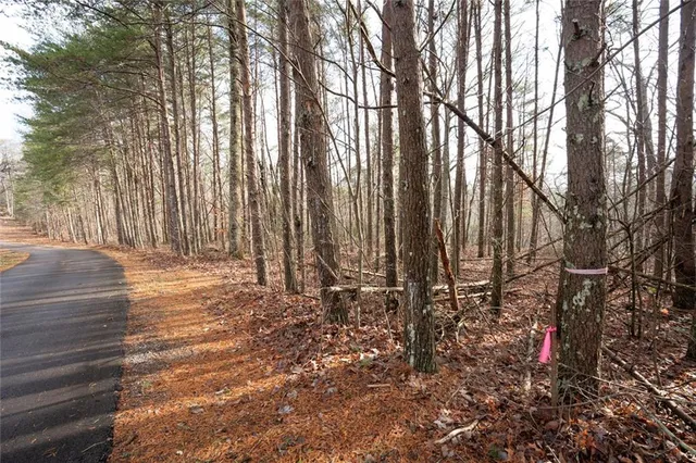 a view of a backyard of the house