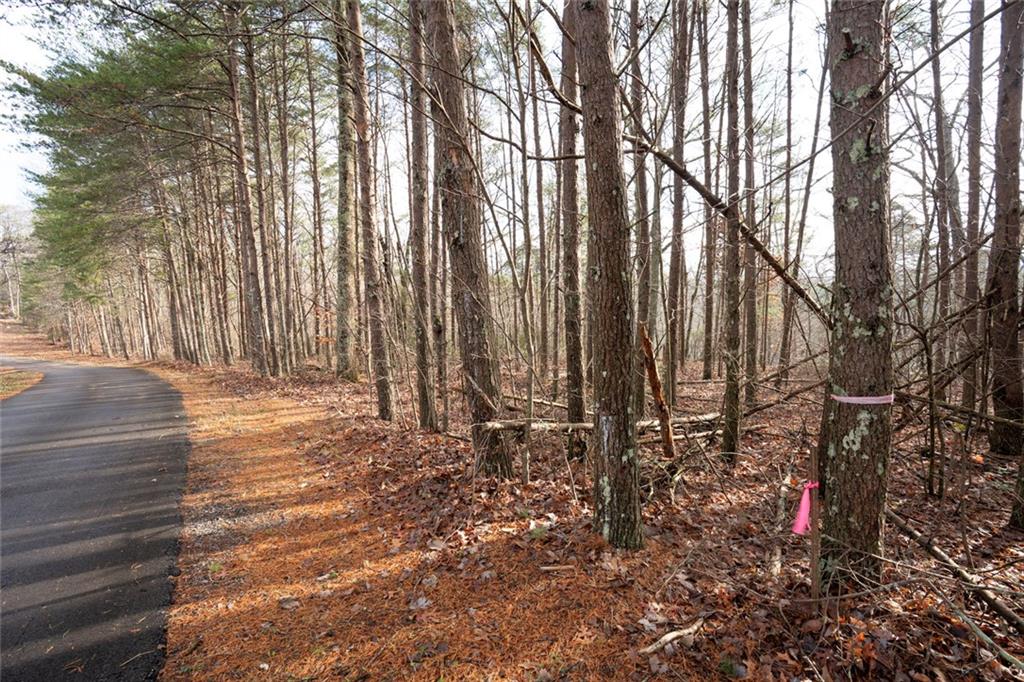 1 Amber Court Jasper, GA 30143 - Photo 5 of 16 a view of a backyard of the house