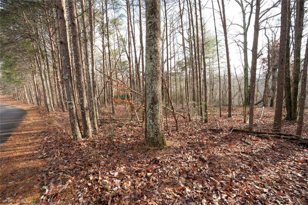 1 Amber Court Jasper, GA 30143 - Photo 7 of 16 a view of a backyard of the house